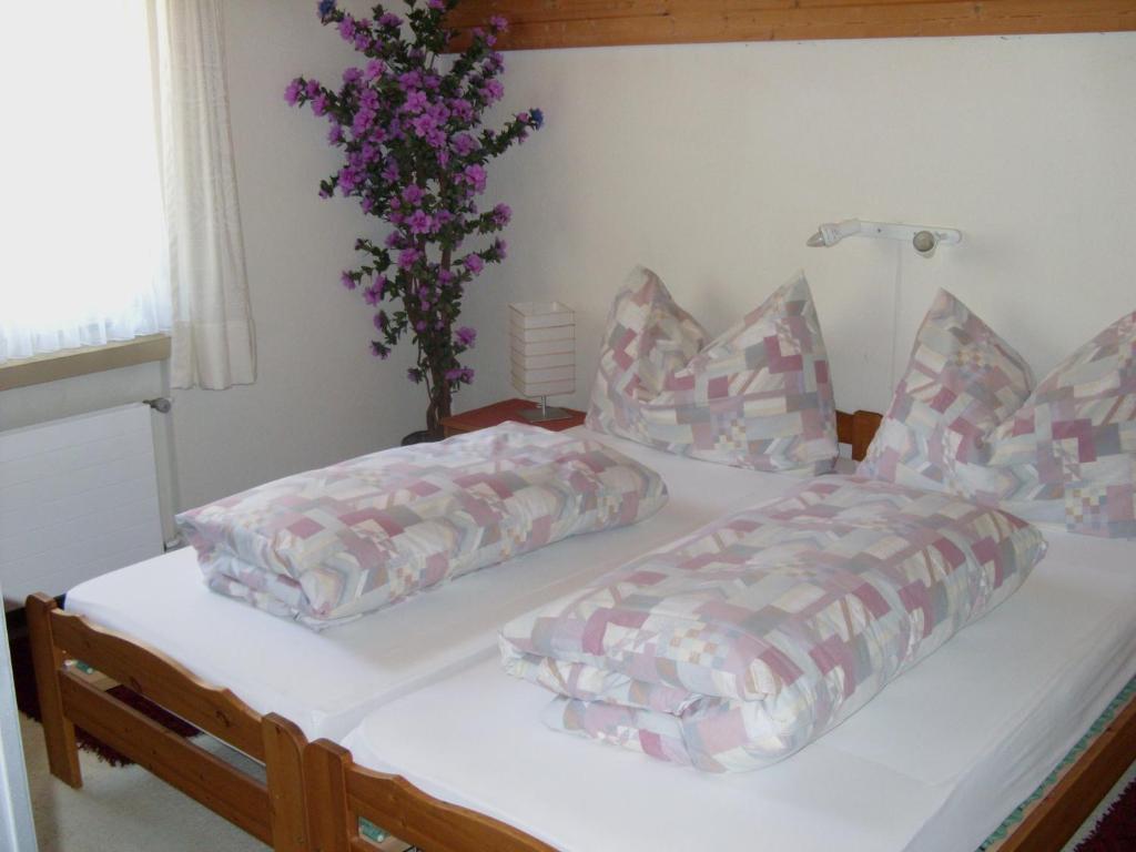 Hotel Pez Ault Disentis Habitación foto